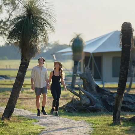 Willow Wood Glamping Retreat Broadwater Eksteriør billede