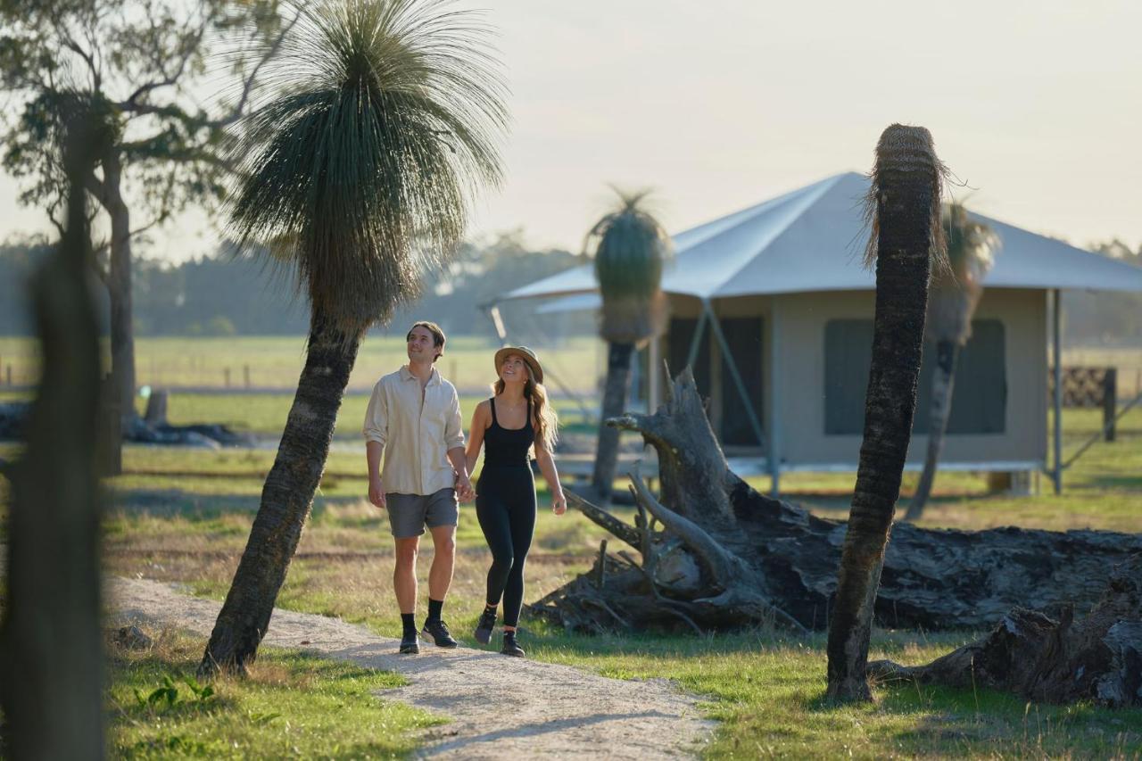 Willow Wood Glamping Retreat Broadwater Eksteriør billede