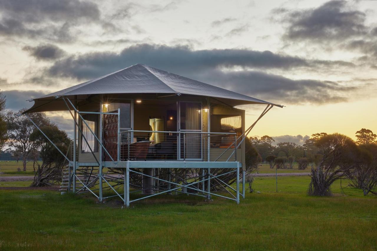 Willow Wood Glamping Retreat Broadwater Eksteriør billede